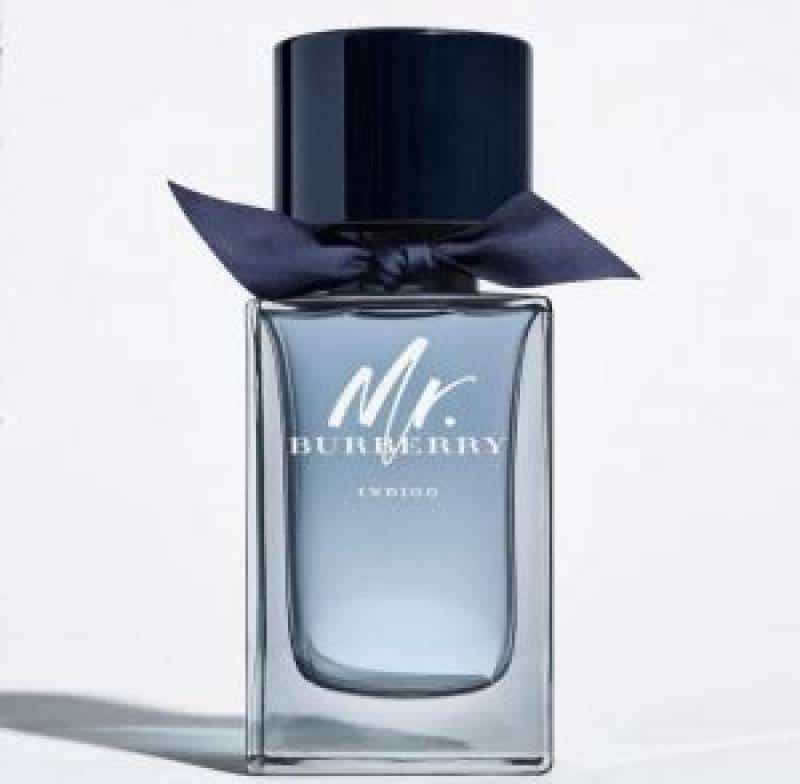 Mr_BURBERRY_INDIGO_EDT_100ML_(703)