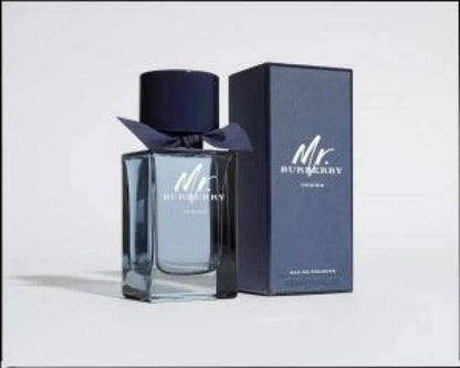 Mr_BURBERRY_INDIGO_EDT_100ML_(703)
