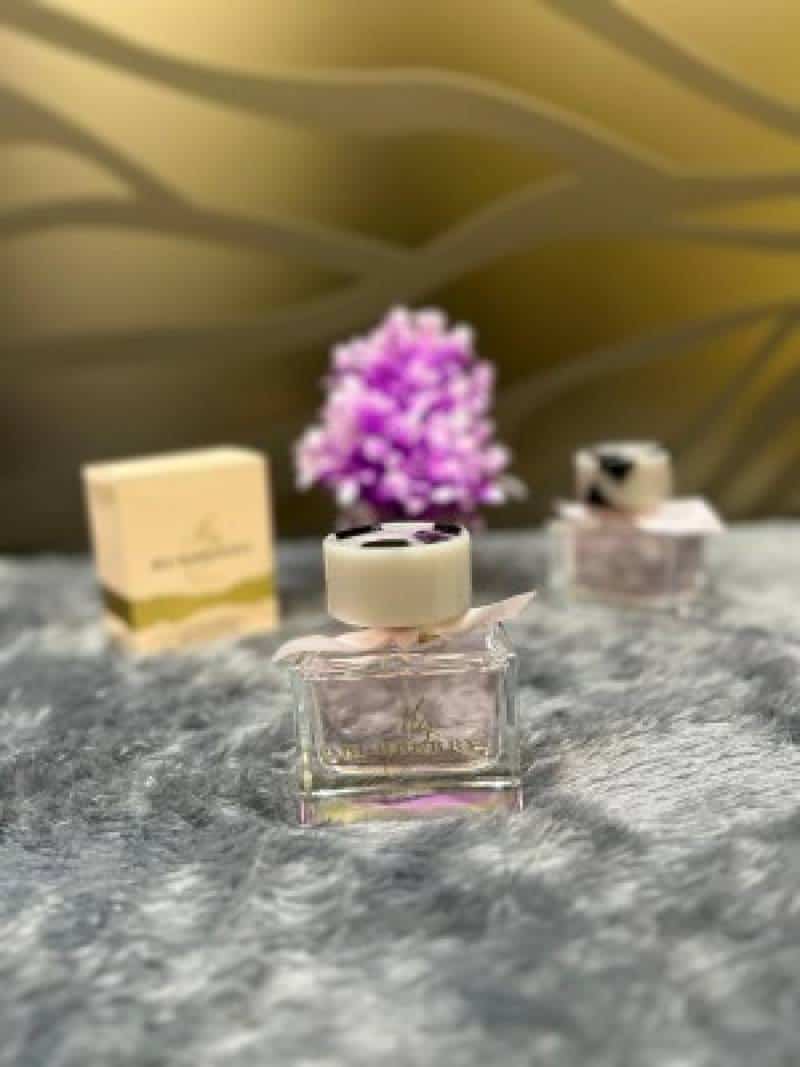 My_Burberry_Blush_100ML_(236)